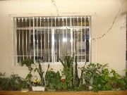 Foto 4 - Anncio 45-447616